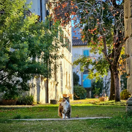 Hotel The On The Terrace *